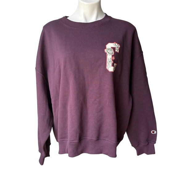 NWT, Champion Powerblend Crew Neck Long Sleeve Sweatshirt, Sz 2XL - Picture 4 of 14